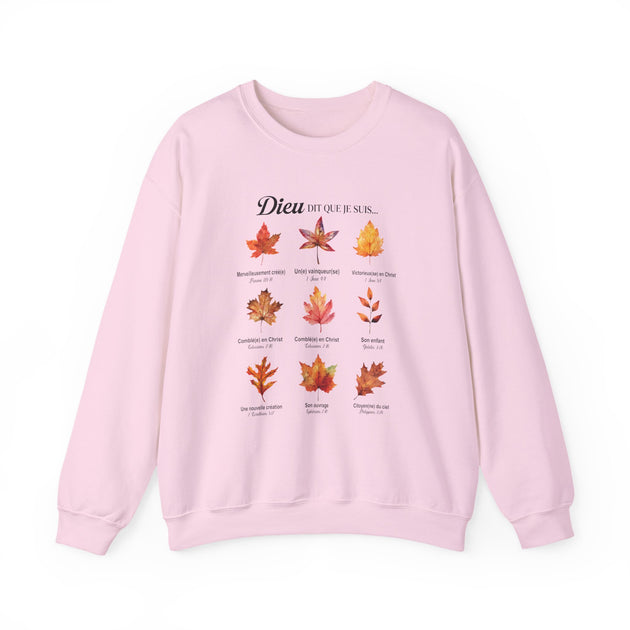 Sweat-shirt rose pâle pour femme orné de neuf feuilles colorées et de textes bibliques en français.