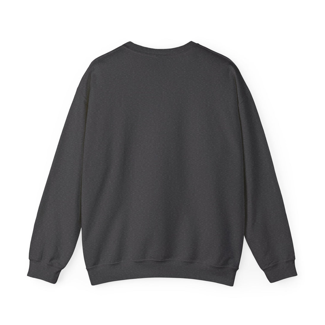 Sweat-shirt à col rond pour homme de couleur gris anthracite, présenté de dos.